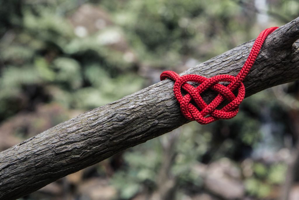 love heart rope on a branch